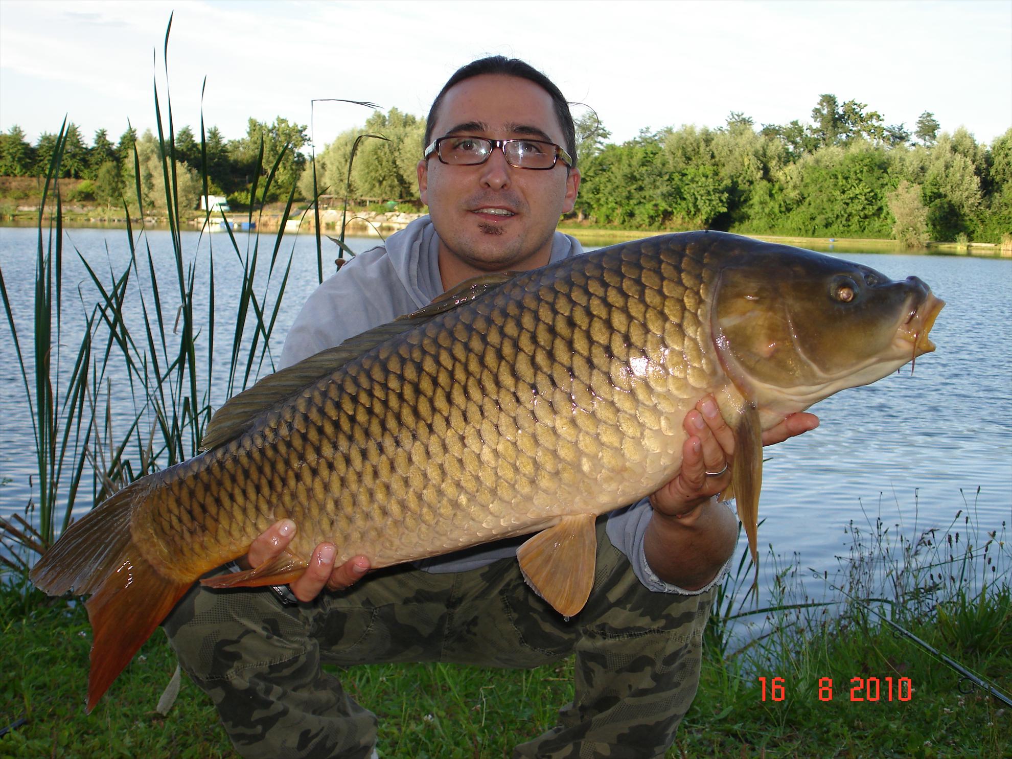 THE BIGS OF 2010 - p1000084.JPG